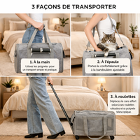 Catlaya TravelSafe Roll™ – Sac de transport à roulettes pour chat (poignée télescopique, pratique et confortable)