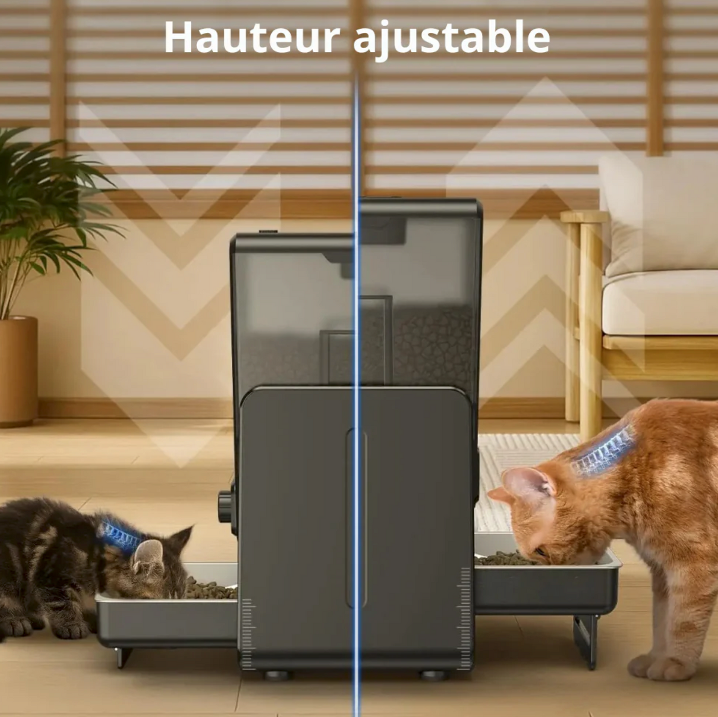 Catlaya SmartFeed Duo™ – Distributeur automatique de croquettes pour chat (double gamelle, alimentation séparée)