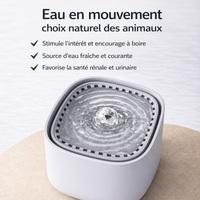 Catlaya AquaFlow™ – Fontaine à eau pour chat (circulation continue, fonctionnement silencieux)